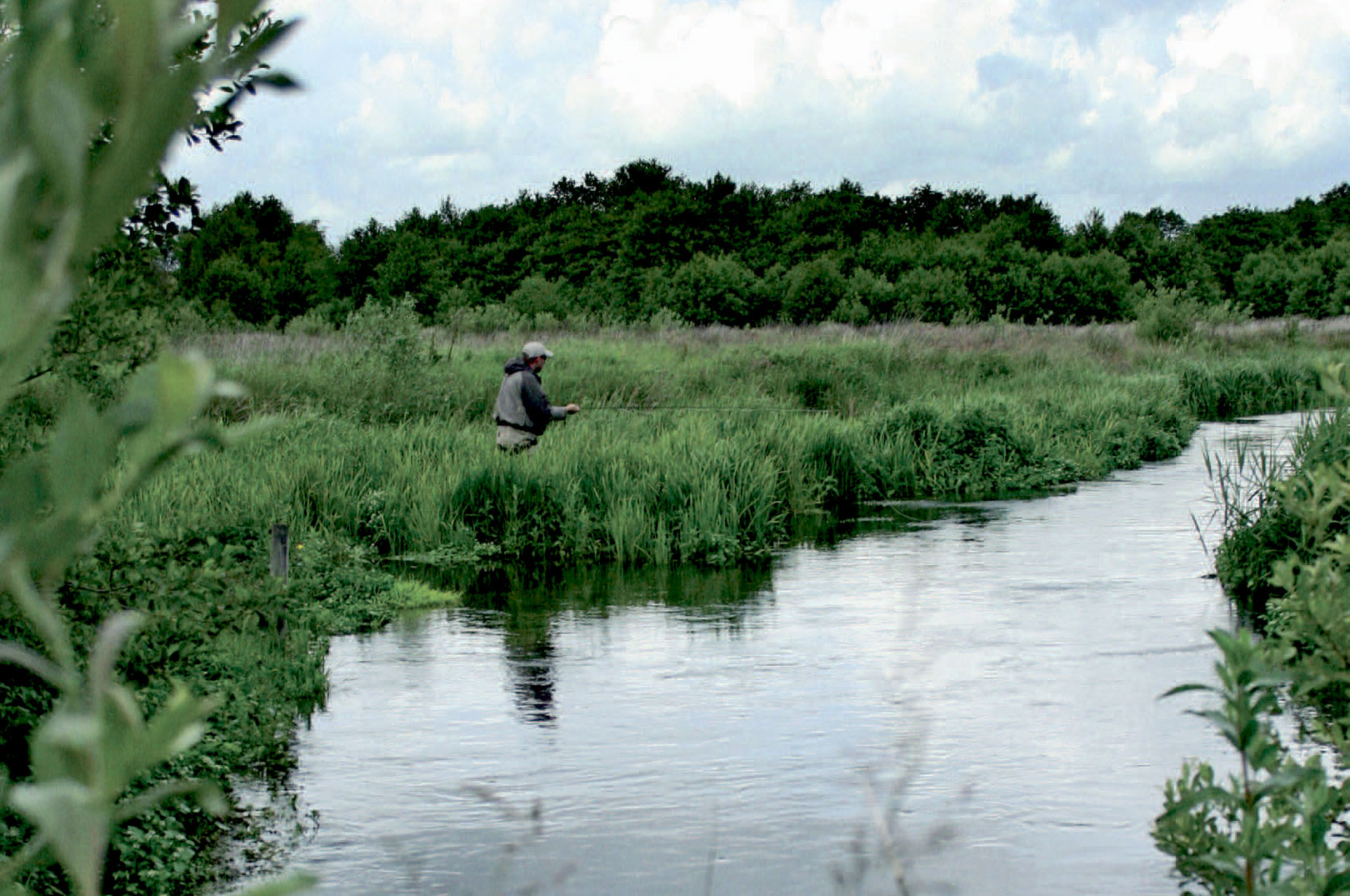 Fluefiskeri efter havørred i Villestrup Å.