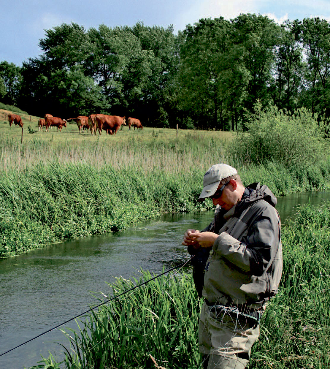 Fluefiskeri efter havørred i åen.