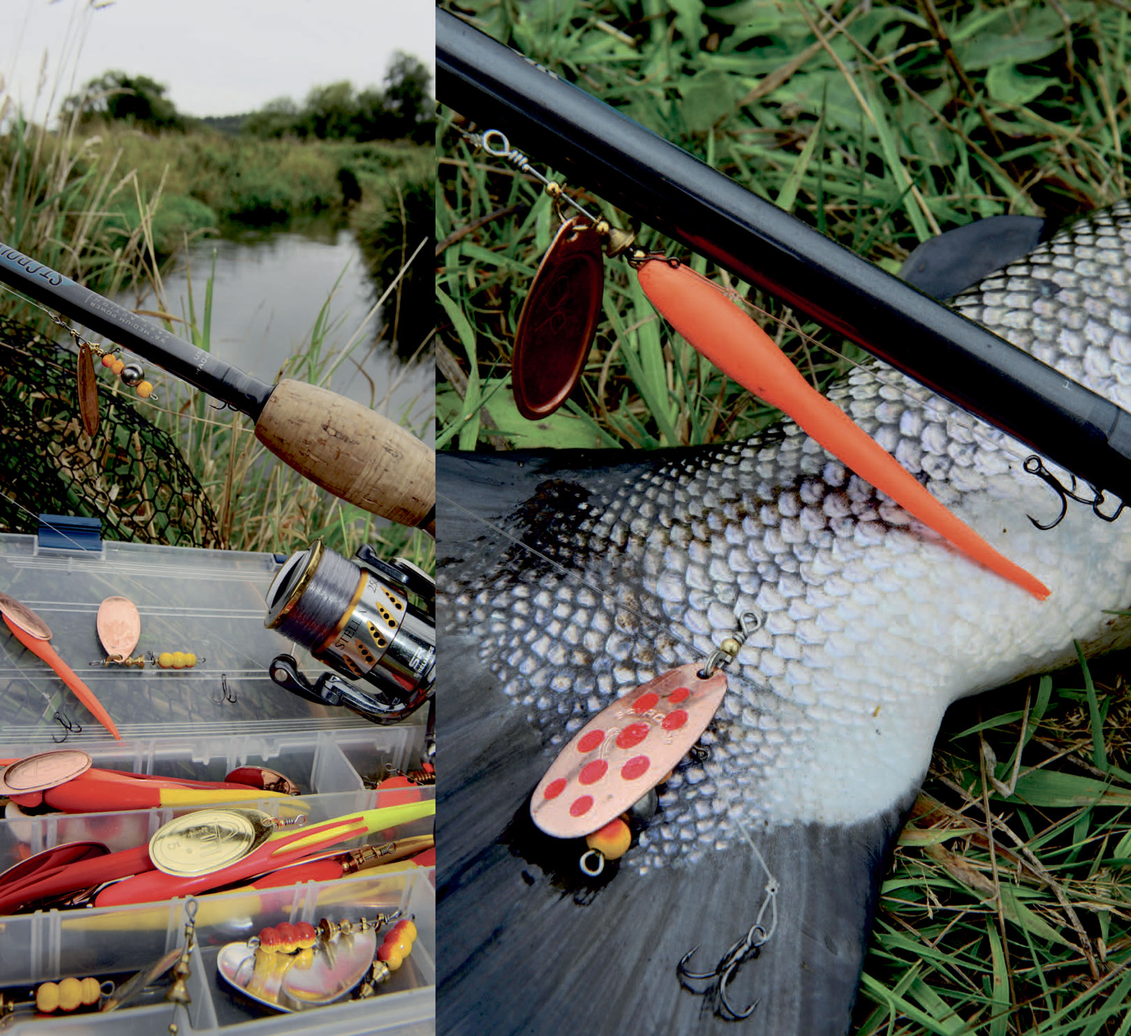 med spinner efter laks