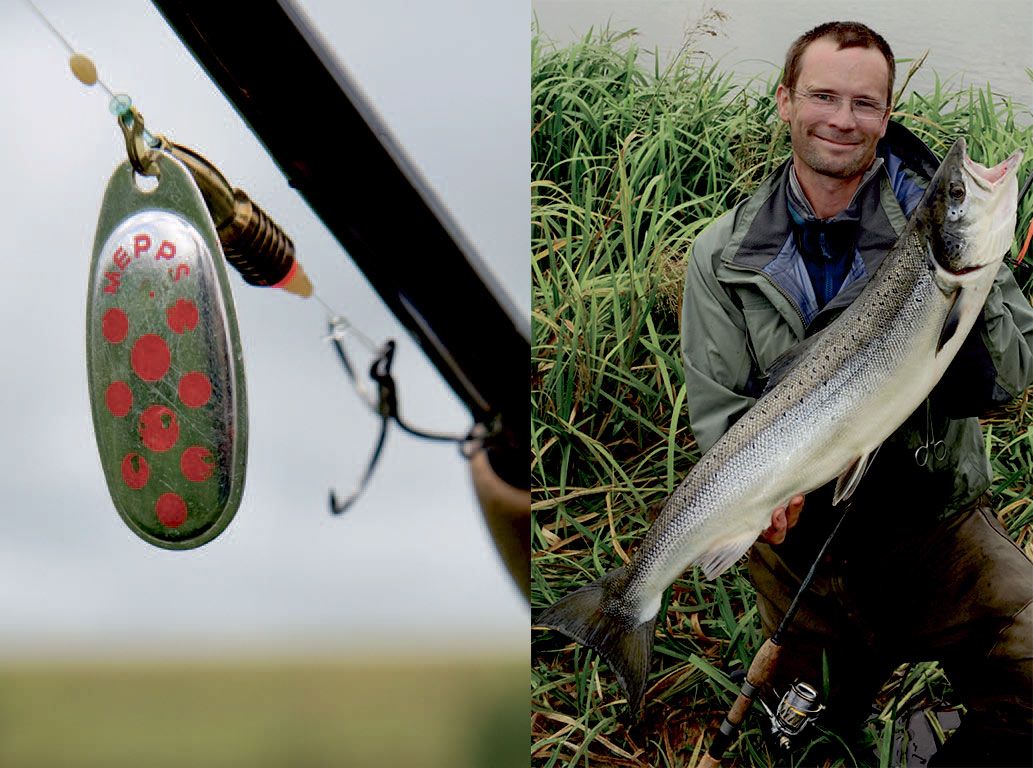 gennemløbsspinner til laks