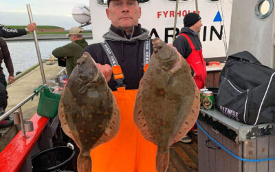 MED FYRHOLM EFTER FLADFISK I LANGELANDSBÆLTET