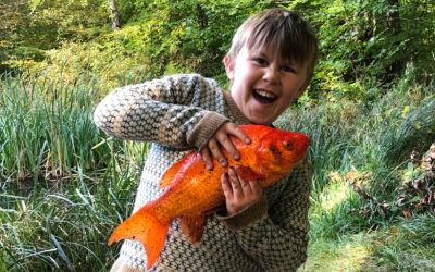 DAIWA OPEN 2025: EN SMUK GULDKARUSSE I STEDET FOR SKALLER