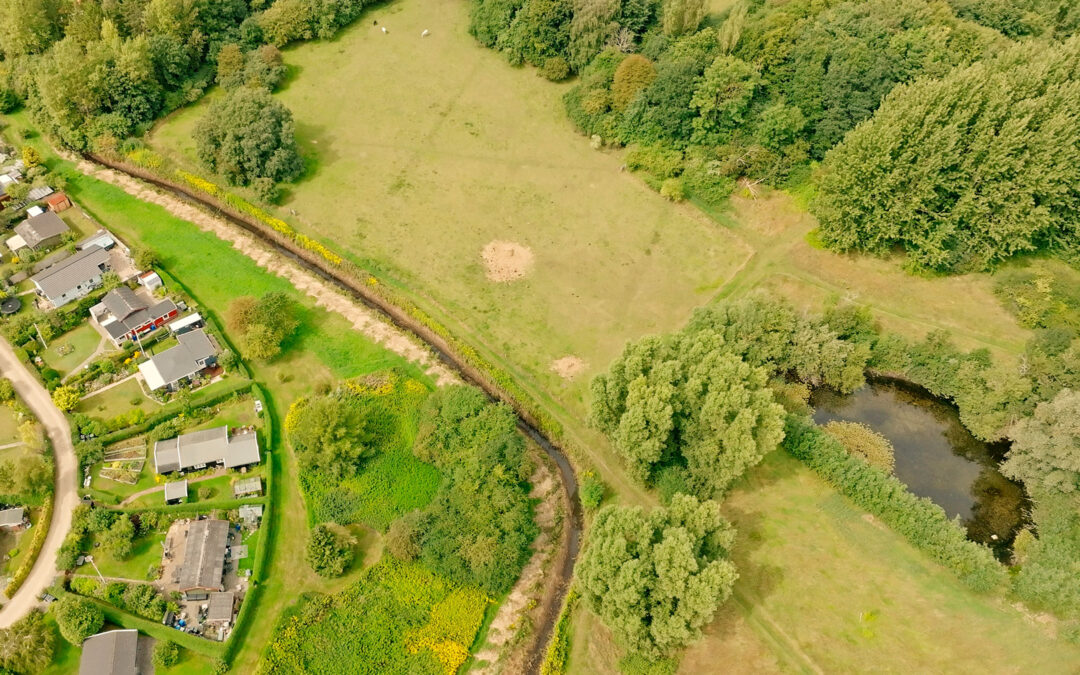 Harrestrup Å ved København skal nu laves til havørredå