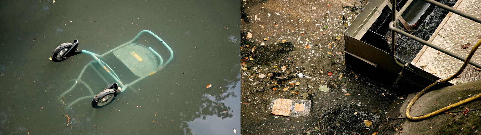 forurening i Harrestrup Å