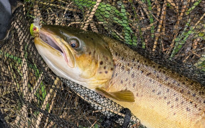 DAIWA OPEN 2025: HAVØRREDSMUTTUR MED SUCCES