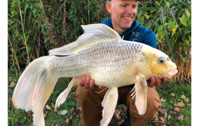 DAIWA OPEN 2025: DEN PERFEKTE SOMMERFUGLEKOI