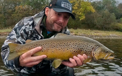 HAVØRRED – EN VILD DAG I FJORDEN