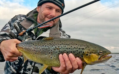 ET PAR FLOTTE HAVØRREDER FRA FJORDEN