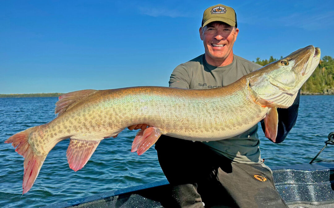Mads Grosell med sin 50,5 inch muskie fra Ontarios vildmark.