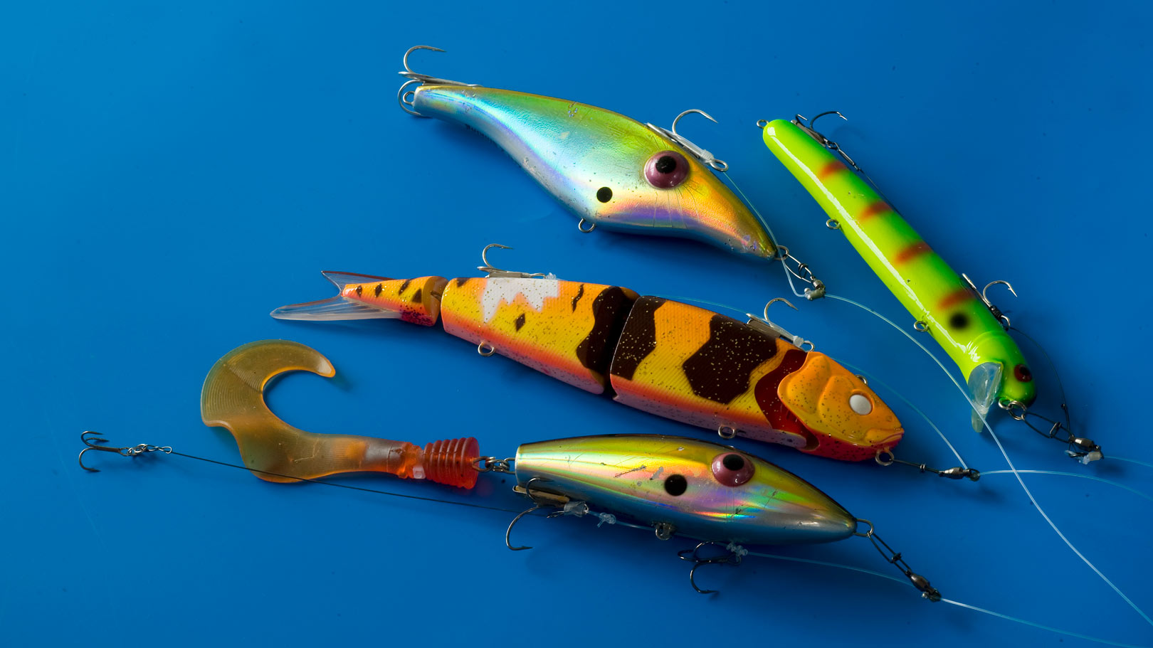 Magnet-rigs til gedder