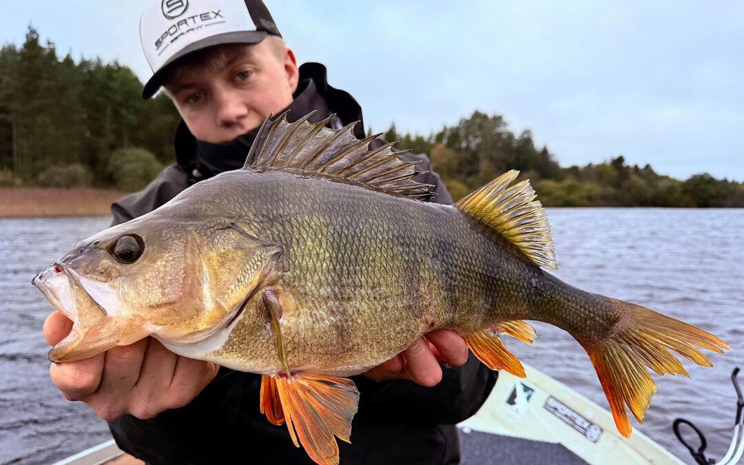 Magnus Jørgensen med aborre