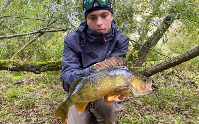 DAIWA OPEN 2025: EN FLOT ABORRE PÅ TAILBAIT