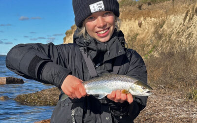 DAIWA OPEN 2025: HAVØRREDBONANZA PÅ FALSTER