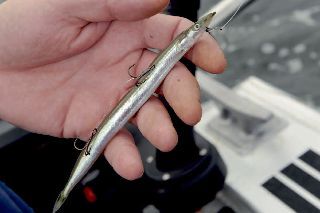 Tobis er en virkelig god agn til stort set alle havets rovfisk.