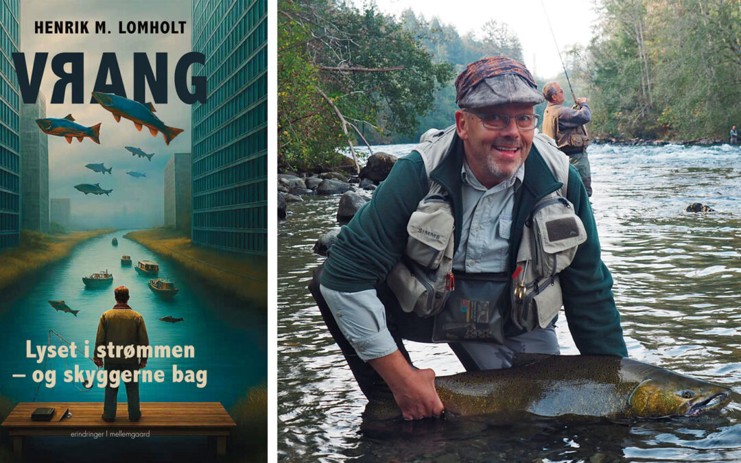 Vrang – Lyset i strømmen – og skyggerne bag af Henrik Lomholt