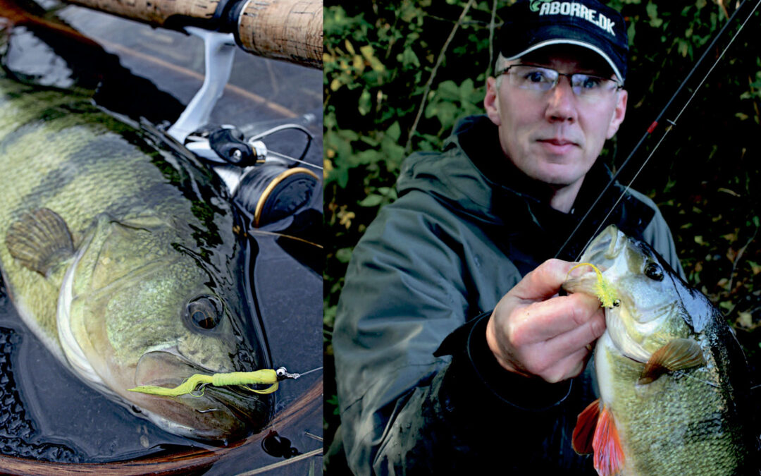 Jørgen Skårup med en aborre taget på spinflue