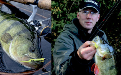 MED SPINFLUE OG MIKROSOFTBAITS EFTER ABORRER