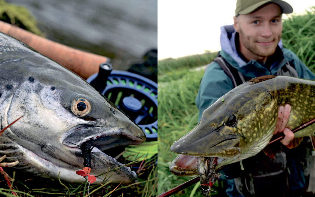 STØJENDE STREAMERE – FLUER DER LARMER