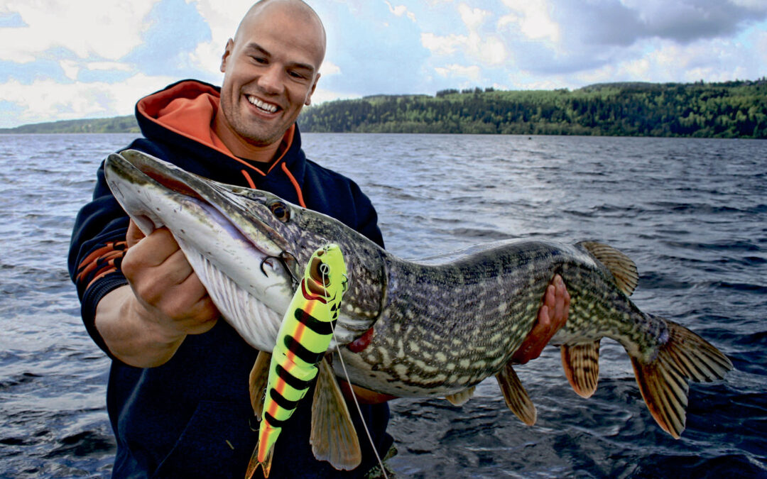 PÅ JAGT EFTER NORSKE STORGEDDER