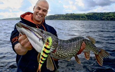 PÅ JAGT EFTER NORSKE STORGEDDER