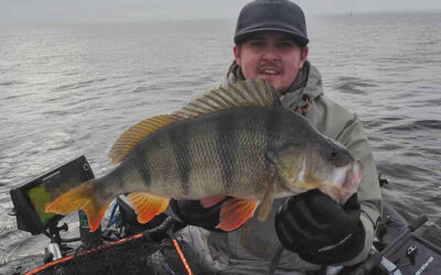 STORABORRER FRA FLYDERINGENE