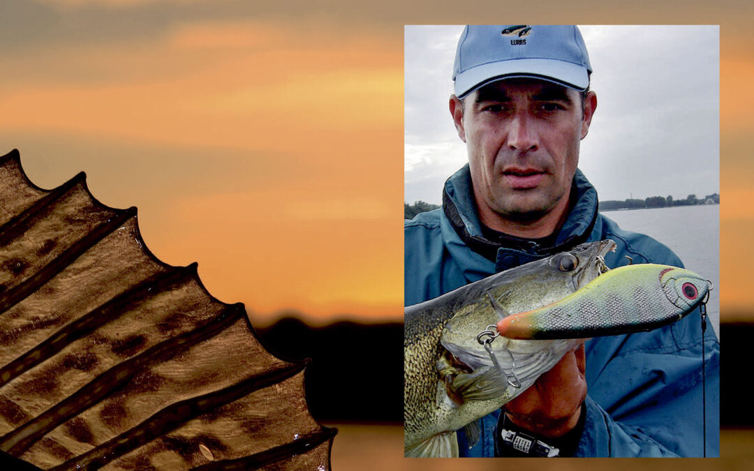 Evert Oostdam med flot sandart på jerkbait.