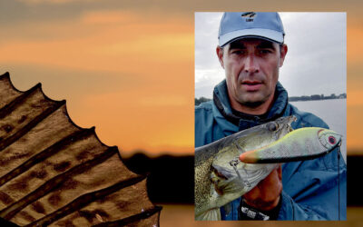 SANDART PÅ JERKBAIT – SÅDAN GØR DU