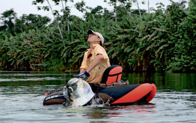 MED FLUE OG FLYDERING EFTER TARPON