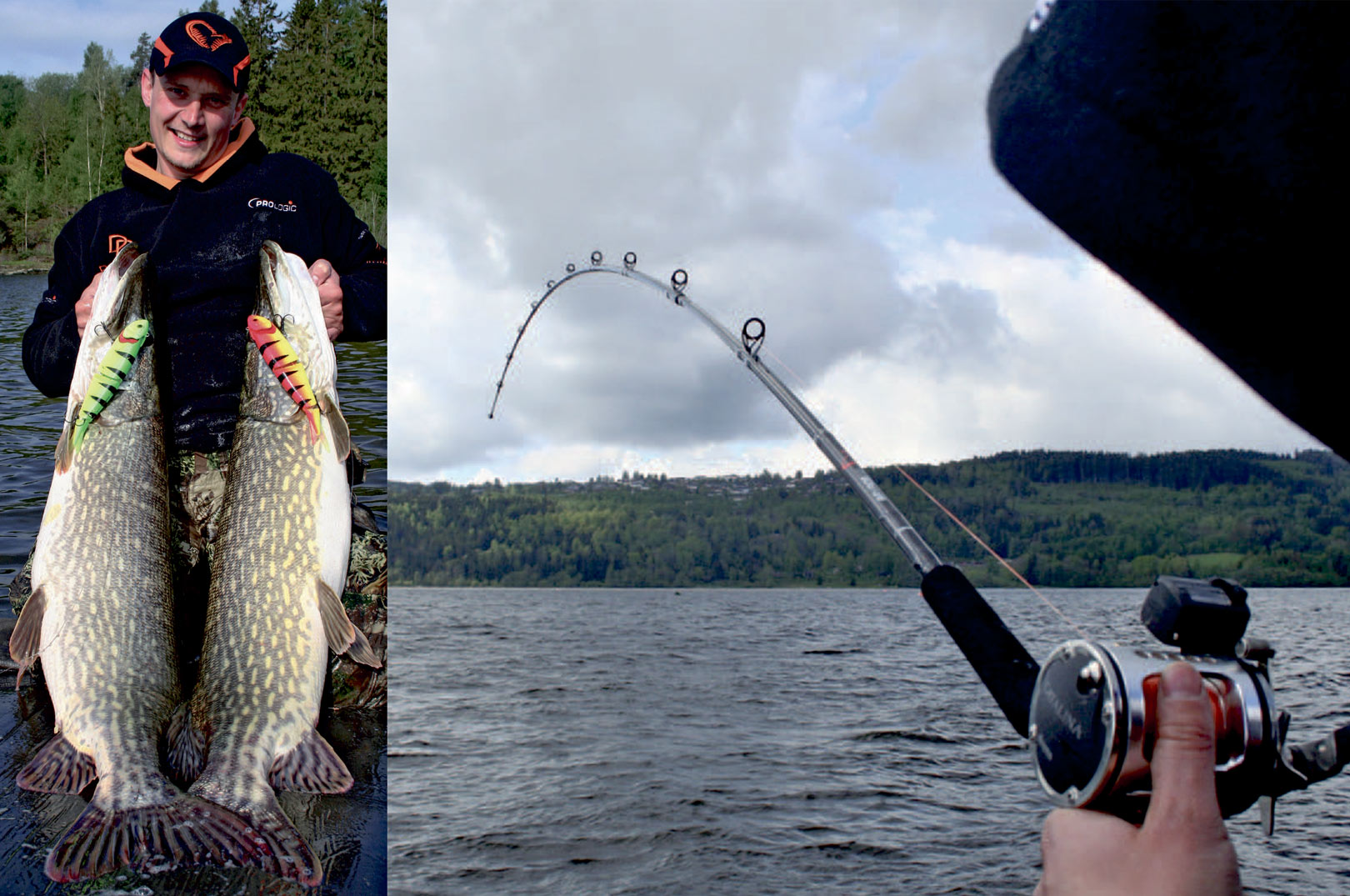 storgeddefiskeri i Norge