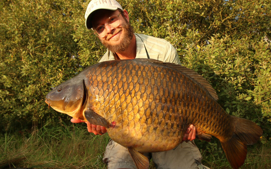 Danmarksrekord for skælkarpe