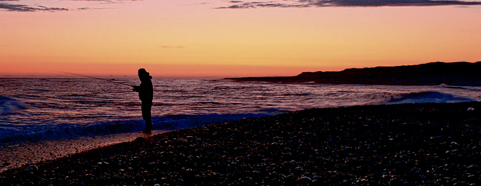 Fluer der larmer er ofte gode i mørke.