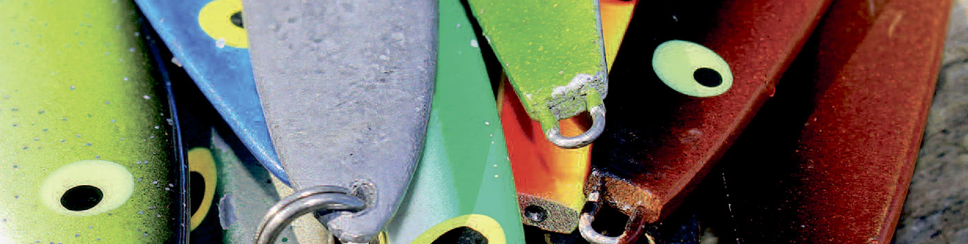 Kystblink til havørred