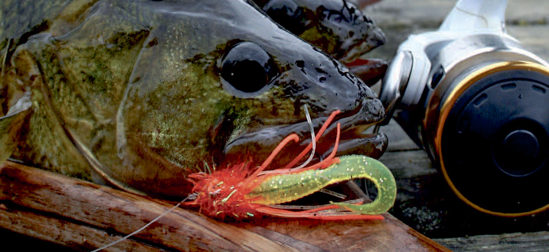 Kun fantasien sætter grænser, når der skal bindes mini-jigs tilvinterens aborrer - her et spraglet mikrosoftbait.. Blot skal man huske, at fluerne skal være så levende i vandet som overhovedet muligt.