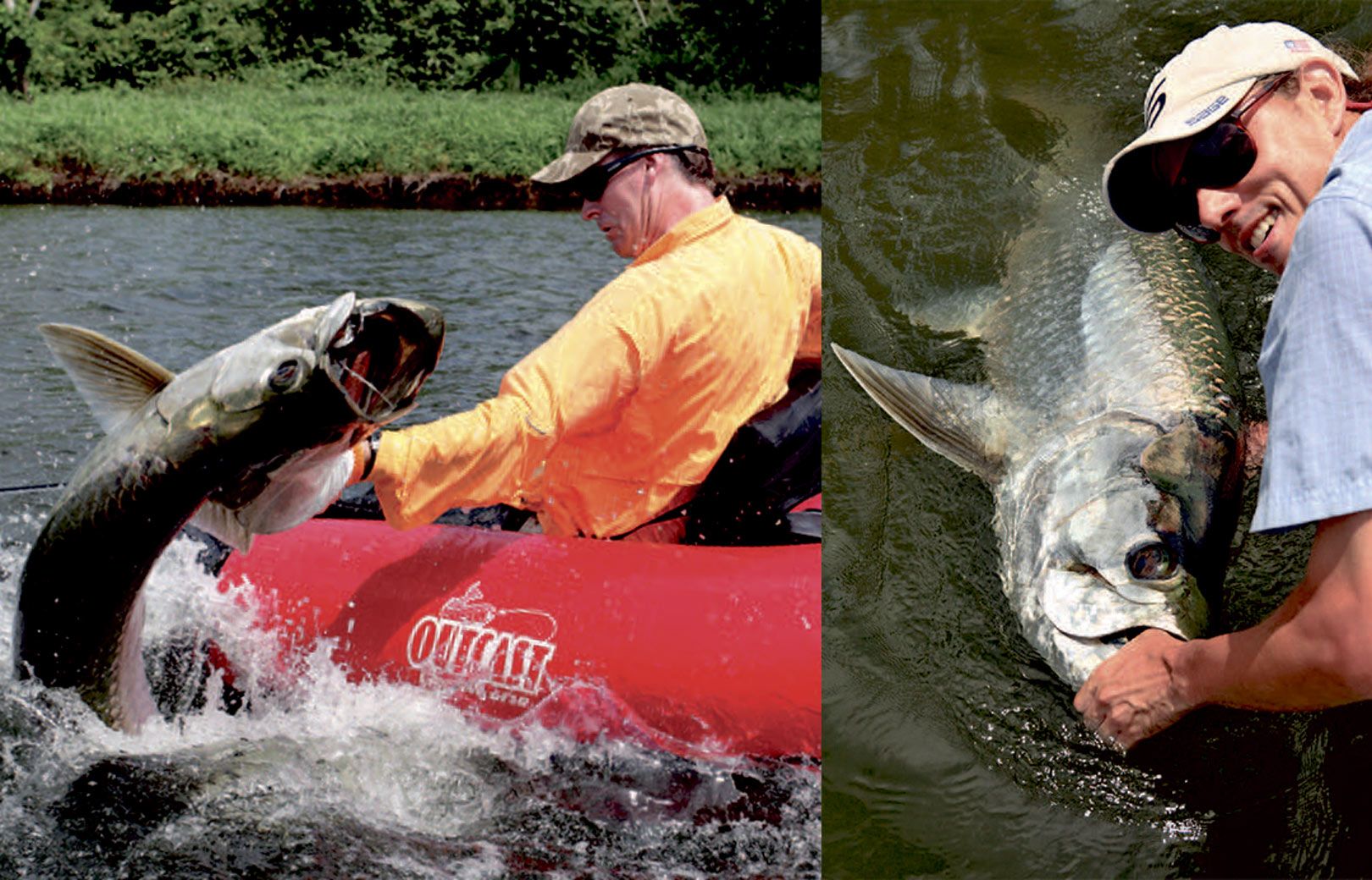 tarpon fra flydering med fluestangen