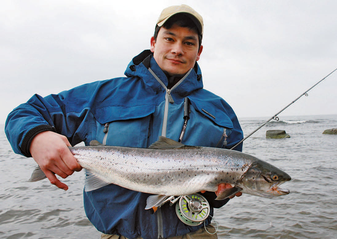 Kystfluefanget havørred fra båd