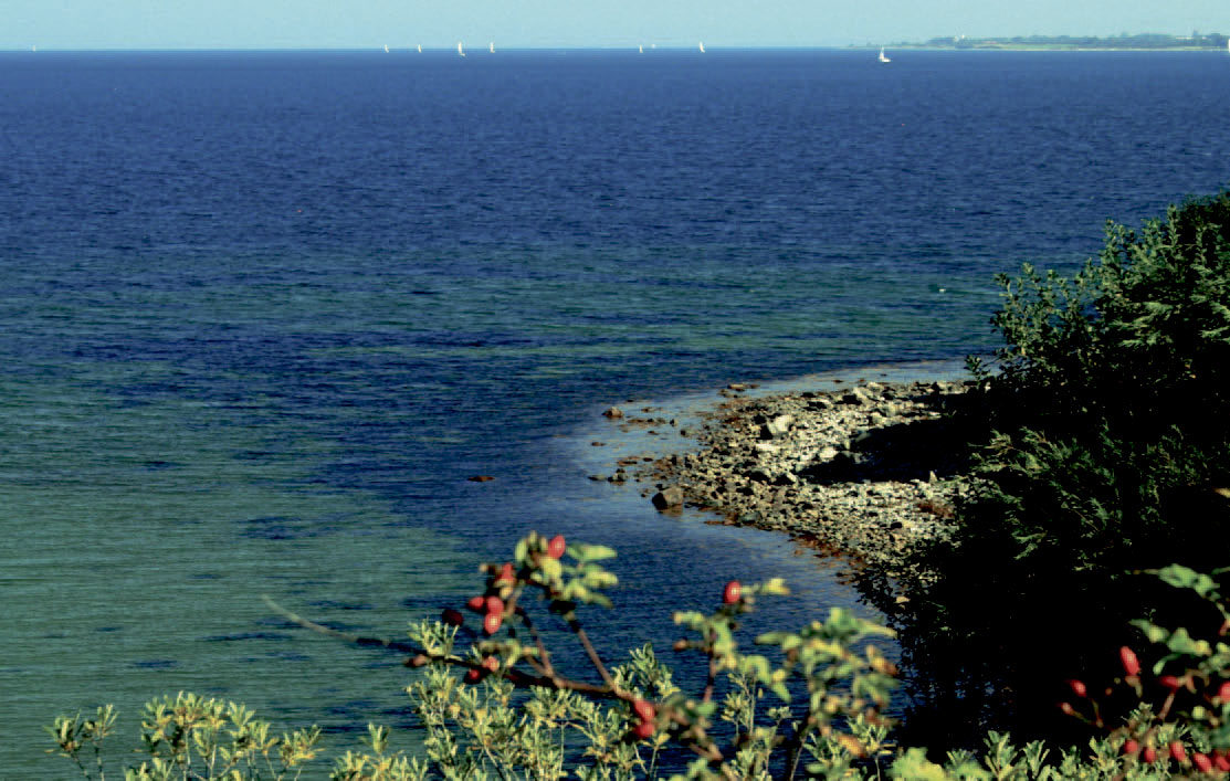 Varnæs Vig, Aabenraa Fjord