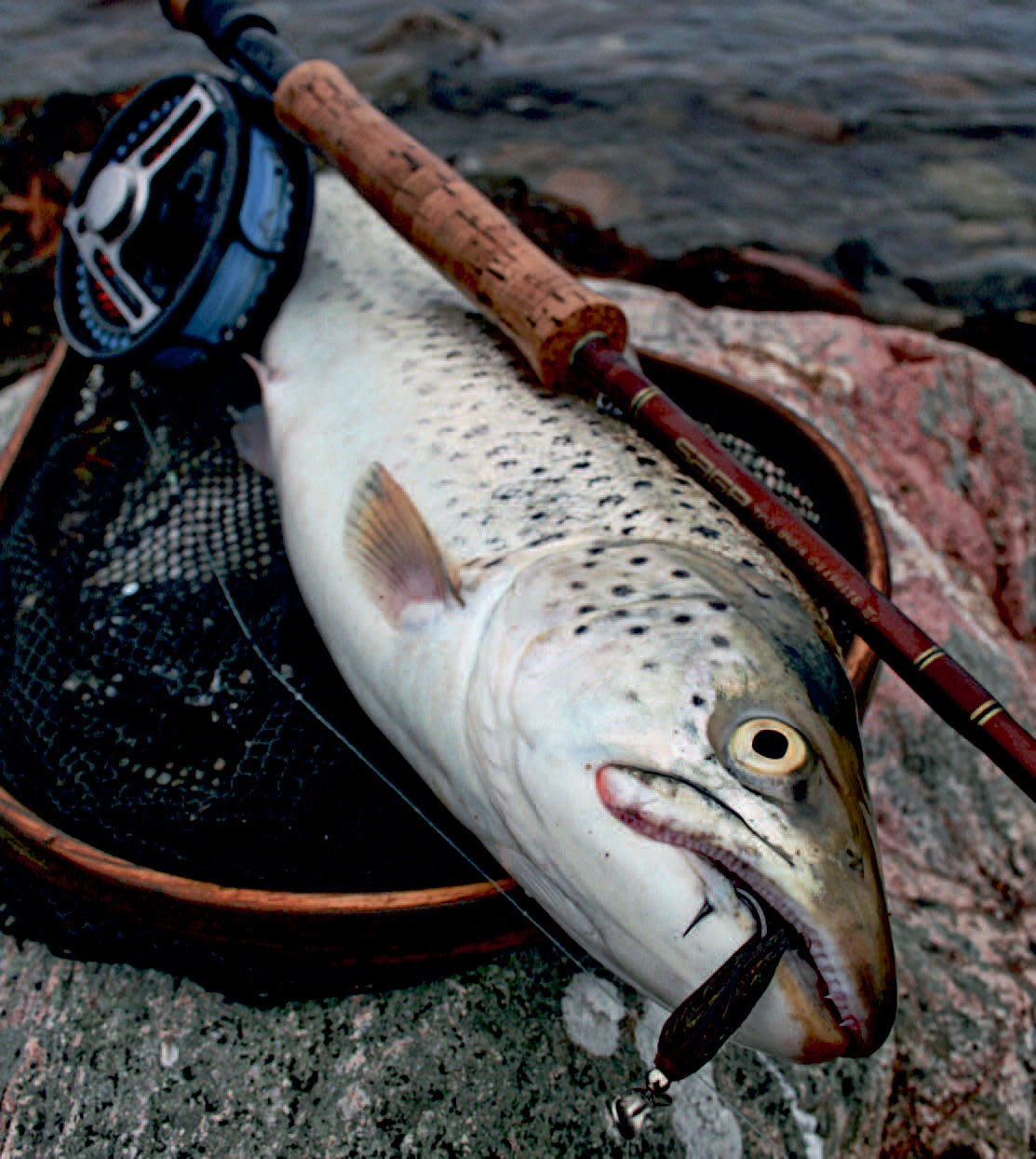 havørredflue med propel