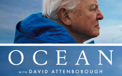 SE FILMEN “OCEAN” MED DAVID ATTENBOROUGH PÅ ØRESUNDSAKVARIET