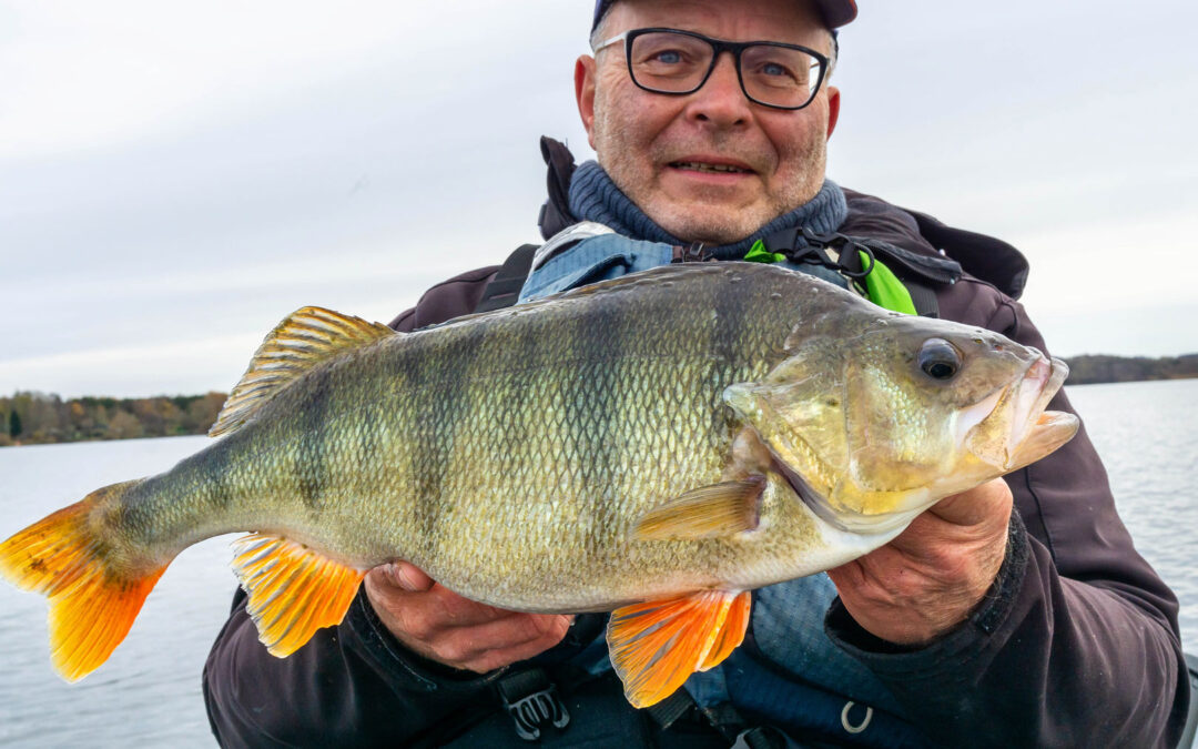 Jan Veiby med sin flotte 1,9 kilos aborre taget fra kajakken.