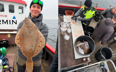 TIL FLADFISKEFEST PÅ LANGELANDSBÆLTET MED FYRHOLM