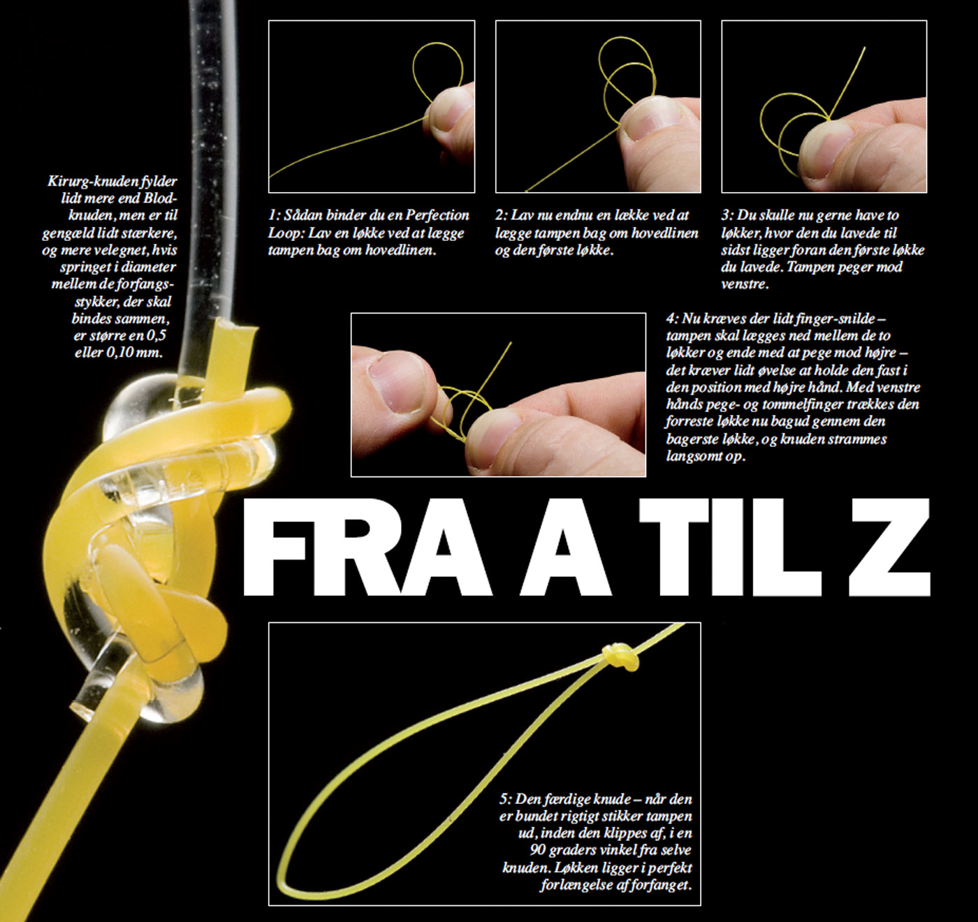 Kunder til flueforfang