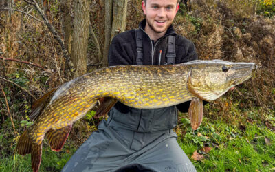 DAIWA OPEN 2025: EN SMUK STORGEDDE PÅ AGNFISK OG FLÅD