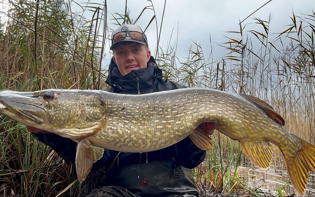 Magnus Jørgensen fra Team Sportex med en flot gedde på død agn