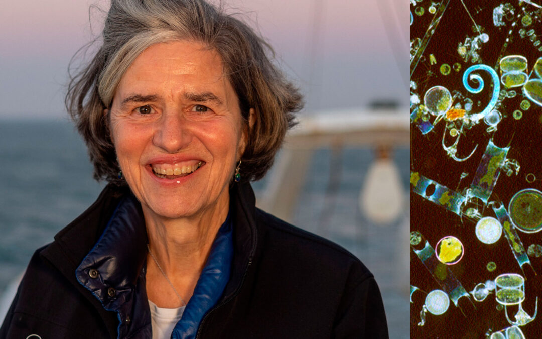 Katherine Richardson holder foredrag på Øresundsakvariet om hvordan mikroorganismer påvirker klimaet.