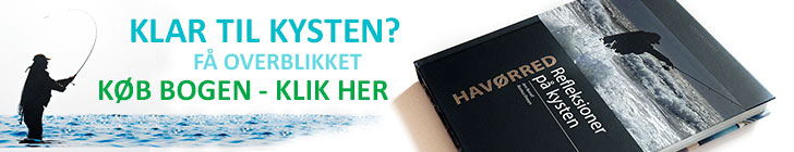 Havørred - Refleksioner på kysten