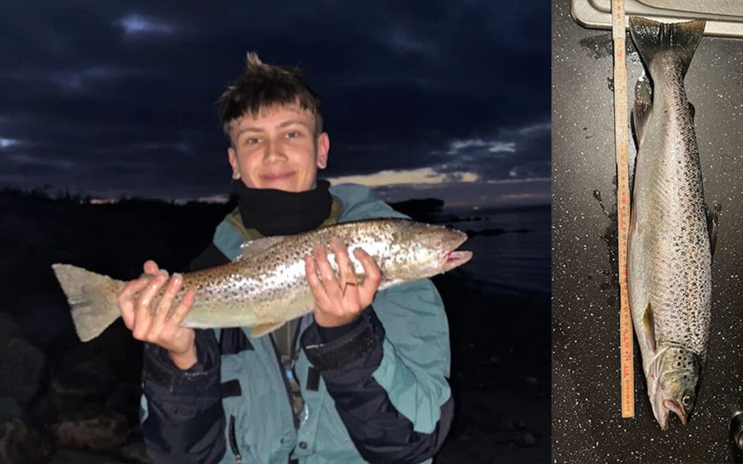 DAIWA OPEN 2025: PR-HAVØRRED HUGGER I MØRKET