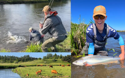 LAKSESÆSONEN 2025 – FLERE FANGSTER, MEN VAR DER OGSÅ FLERE FISK?