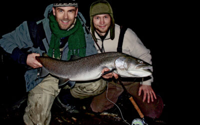 HUCHO HUCHO: DRØMMEN OM EN DONAULAKS PÅ FLUE