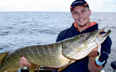 ALIEN EELS: STORGEDDER OG GUMMI FRA DET YDRE RUM