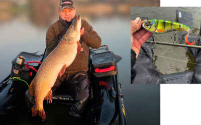 DAIWA OPEN 2025: GROV GEDDE NAPPER TAILBAIT